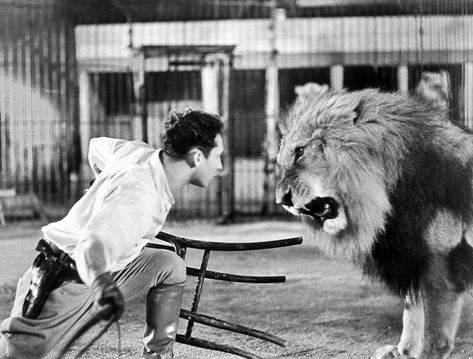 Lion Tamer Aesthetic, Self Defense For Women, Circus Lion, Lion Tamer, Self Defense Women, All Body Workout, Circus Animals, Big Top, Bruce Lee