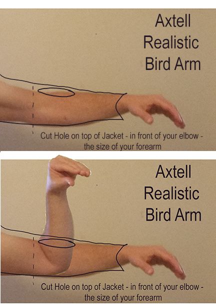 Realistic Bird Arm Illusion by Axtell Expressions Puppets, Animatronics & Magic Dino Puppet, Puppet Mechanics, Diy Puppet, Illusion Costumes, Bird Puppet, Puppetry Theatre, Puppet Tutorial, Puppet Costume, Flamingo Costume