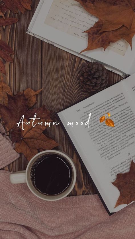 Autumn Mood Aesthetic, Bookshelves Background, Autumn Books Aesthetic, Autumn Aesthetic Wallpaper, Fall Mood Board, Cute Fall Wallpaper, Fall Background, Fall Pictures, A Cup Of Coffee