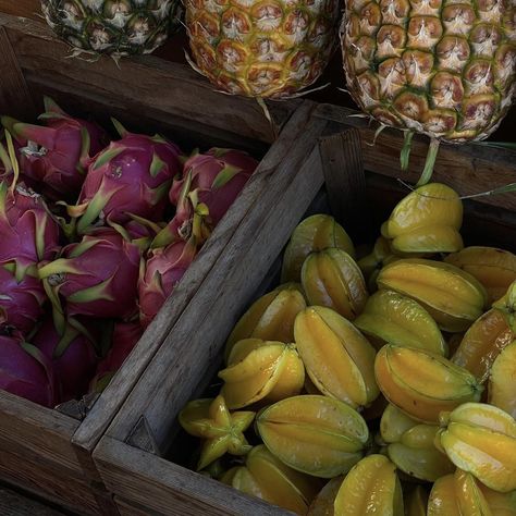 Summer Aesthetic Fruit, Island Vibes, Indian Summer, Island Girl, Summer Feeling, Jolie Photo, Summer Dream, Summer Breeze, European Summer