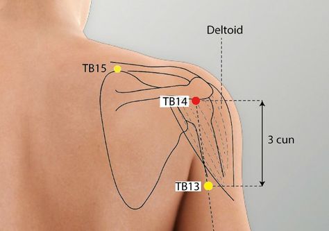 Acupuncture Triple Burner meridian point - TB 15 chinese name: TIANLIAO Locate the exact TB 15 triple burner point in human body with our chart. Meridian Acupuncture, Acupuncture Points Chart, Acupuncture Point, Meridian Points, Acupuncture Points, Thai Massage, Chinese Name, Large Intestine, Acupressure Points