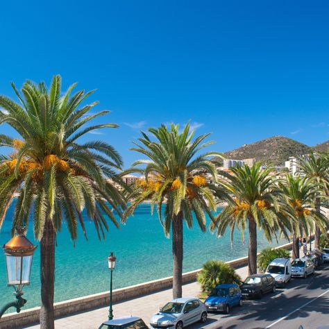 Salut les amis ! Qui connaît la magnifique Plage de Marinella à Ajaccio en Corse ? 🏖️☀️ C'est l'endroit parfait pour se détendre, nager dans une eau cristalline et profiter du soleil corse. Qui serait partant pour une journée plage à Marinella ? #corsicacamping #corsica #corse #igerscorsica #iledebeaute #corsicanlife #corsicaisland #corse_ile_de_beaute #corsica_focus_on #igerscorse #corsicanlandscapes #igerscorsica_natura #camping #campingcorse Ajaccio Corsica, South Of France, Desktop Screenshot, France, Plants