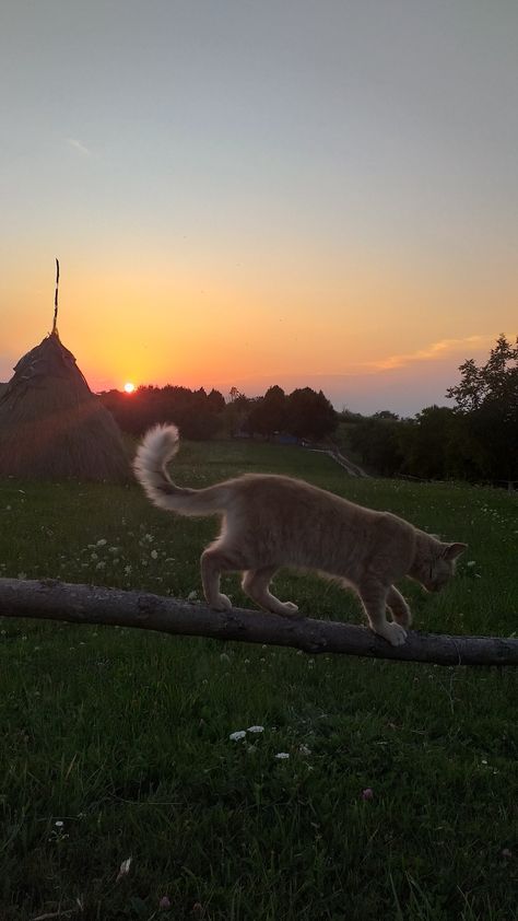 Village Astethic, Summer In Village, Small Village Aesthetic, Village Life Aesthetic, Bloxburg Village, Village Lifestyle, Village Vibes, Book Vibe, Cozy Village