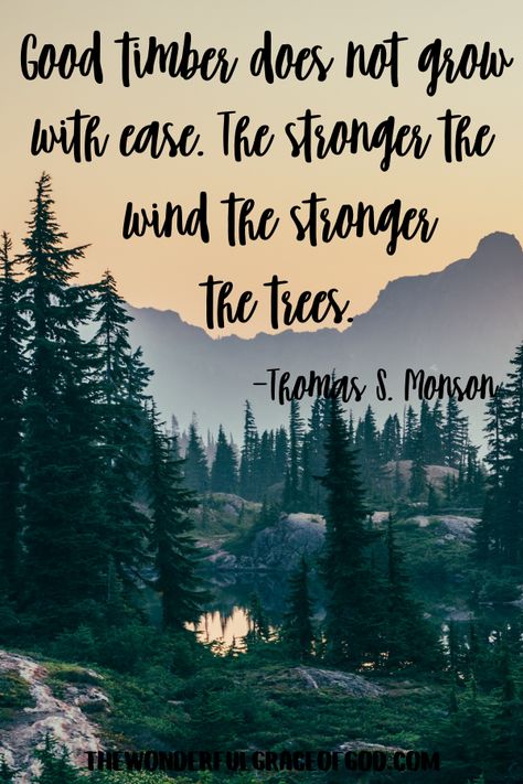 Good timber does not grow with ease... LDS Quote by Thomas S. Monson Good Timber Does Not Grow With Ease, General Authority Quotes Lds, Lds Quotes About Home, Inspirational Quotes Positive Lds, Spiritual Love Quotes For Him, Lds Spiritual Quotes, Lds Prayer Quotes, Lds Prophet Quotes, Lds Motivational Quotes