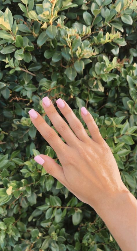 Pink Shirt Nails, Light Pink Nails Square, Shirt Square Nails, Light Pink Square Nails, Light Pink Shoes, Light Pink Shirt, Light Pink Nails, Quinceanera Themes, Pink Shoes