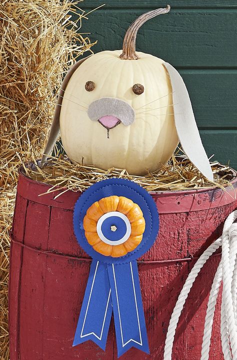 Bunny Pumpkin Facecountryliving Bunny Pumpkin, Animal Pumpkin, Creative Pumpkin Painting, Pumpkin Decorating Ideas, Creative Pumpkin Decorating, Wallpaper Animals, Dekorasi Halloween, Pumpkin Uses, Pumpkin Contest