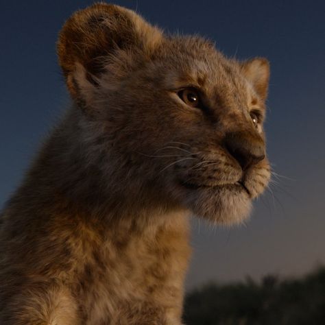 Disney’s The Lion King on Instagram: “In 100 days, the king arrives. Watch the brand new trailer for #TheLionKing now.” Watch The Lion King, Couples Disney, Lion King Musical, Simba Lion, Lion King Pictures, Lion King Movie, Lion King 2, Il Re Leone, King Simba