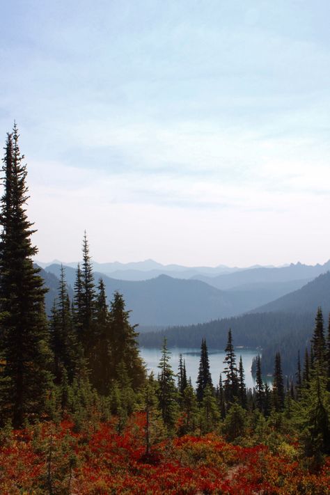 📍naches peak loop, mt.rainier #mtrainier #fall #washington #hike Mt Olympus Washington, Church Announcements, Washington Nature, North By Northwest, Mt Rainier, Fall Hiking, Secret Law Of Attraction, Aesthetic Photos, 2024 Vision