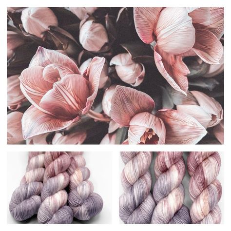 A whole new lineup added to the last chance collection!! Featured here is your dreams blossom! And there are 15 others we just added them out before they are gone!! Yarn Palette, Fibre Diet, Yarn Aesthetic, High Fibre, Fiber Diet, High Fiber Diet, Yarn Inspiration, Heart And Soul, Future Plans