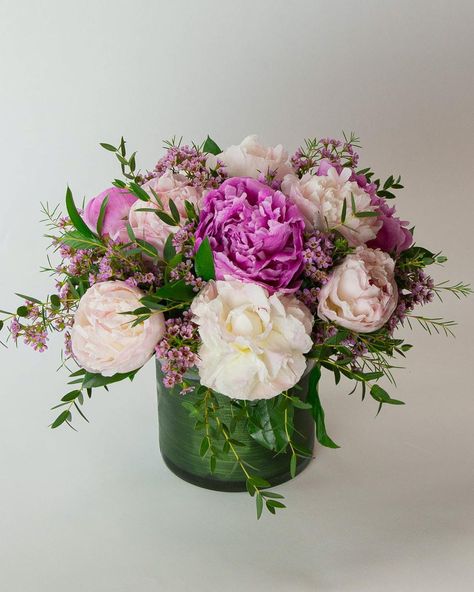 About Peonies, PleaseGive that special someone the gift of heavenly, fragrant peonies. The Peonies, Please arrangement is packed with 10 fresh peonies in assorted colors atop a bed of pink waxflower and gunni eucalyptus expertly designed in... Peony Arrangement Ideas, Pink Waxflower, Gunni Eucalyptus, Fresh Peonies, Peony Flower Arrangements, Good Shabbos, Peony Arrangement, Paper Flower Arrangements, Rose Flower Arrangements