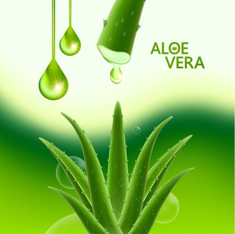 Forever Aloe Gel, Aloe Vera Image, Herbalife Aloe, Cosmetics Illustration, Nature Medicine, Forever Living Aloe Vera, Tooth Gel, Skin Care Pictures, Aloe Vera For Skin