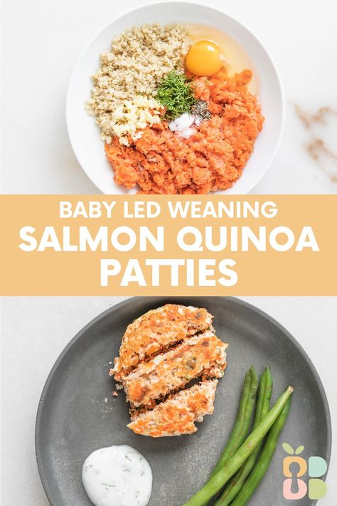 Baby Salmon Quinoa Patties with Dill Yogurt Sauce - Baby Led Bliss Salmon Patties For Babies, Blw Salmon Recipe, Toddler Salmon Recipe, Baby Salmon Recipe, Salmon Baby Led Weaning, Easy Baby Breakfast Ideas, Blw Fish, Salmon For Toddlers, Healthy Toddler Friendly Dinners