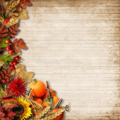 Happy Thanksgiving Card. Autumn Background royalty free stock images Thanksgiving Squares, Background Border, Thanksgiving Poster, Thanksgiving Background, Autumn Bouquet, Church Backgrounds, Photo And Text, Autumn Background, Thanksgiving Card