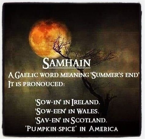 😂😂😂 #halloweenhumor #funny #samhain #allhallowseve #pumpkinspice #basic #basicwitch #basicbitch #spookywifespookylife #spookywife #spookylife #spooky #ilovehalloween #halloweenaholic #halloweenisalifestyle #everydayishalloween #halloweenobsessed #obsessedwithhalloween #halloween #1031 #halloweengirl Gaelic Words, Samhain Halloween, Inverness, Samhain, Hallows Eve, End Of Summer, Book Of Shadows, The Words, Wonderful Time