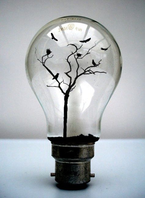 Crows Light Bulb Art, Light Bulb Crafts, Old Lights, Creative Photos, White Photo, Cool Stuff, Pics Art, Artsy Fartsy, Black Bird