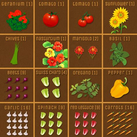 square-foot-gardening-layout-companion-plants - a good read. Biointensive Gardening, Gardening Layout, Square Foot Gardening Layout, Companion Gardening, Growing Tomatoes In Containers, Gardening Vegetables, Garden Layout Vegetable, Companion Plants, Square Foot Gardening