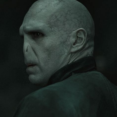 Lord Voldemort Aesthetic, Voldemort Aesthetic, Ralph Finnes, Harry Potter Voldemort, Harry Potter Poster, Slytherin Pride, Harry Potter Puns, Images Harry Potter, Bellatrix Lestrange