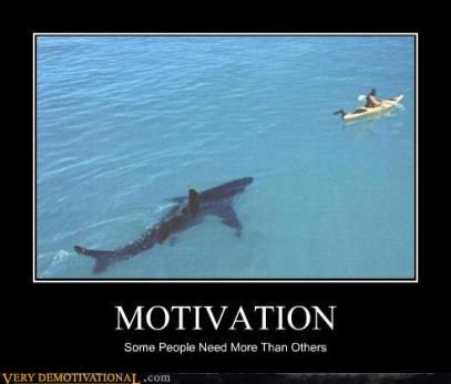 What needs to be done to motivate oneself...be in a small boat where a large shark is approaching? Is this what they mean by outside forces of motivation? Black Captions, Funny Backgrounds, Very Demotivational, Demotivational Posters, Shark Week, Superwholock, Motivational Posters, Bones Funny, Make Me Smile