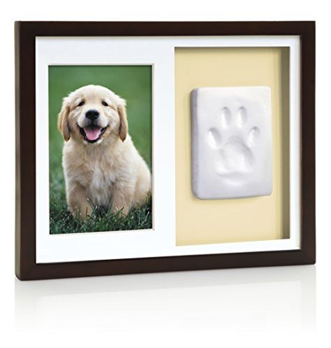 Tiny Ideas Dog or Cat Paw Print Keepsake Wall Frame Kit * Visit the image link more details. (This is an affiliate link) #dogmemorials Paw Print Keepsake, Pet Memory, Pet Keepsake, Cat Paw Print, Pet Ashes, Cat Paw, Cat Memorial, Pet Paws, Wall Frame