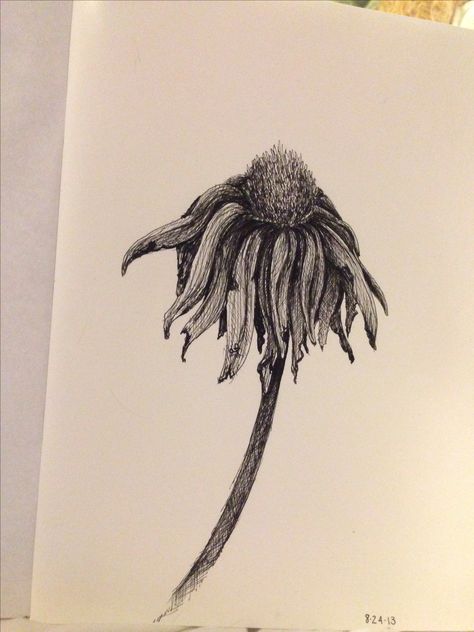 Wilting flower drawn by Alexis Fazio (SkLS Portraits) @SkLS_Portraits Rose Drawing Tattoo, Flower Tattoo Drawings, Sunflower Drawing, Plant Tattoo, Flower Tattoo Sleeve, Sunflower Tattoos, Flower Sketches, Roses Drawing, Sunflower Art