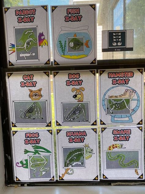 Providing a pet vet animal hospital dramatic play center can help students learn new medical vocabulary, practice kindergarten math concepts, and more! Hospital Dramatic Play, Medical Vocabulary, Dramatic Play Center, Parrot Fish, Teaching Vocabulary, Dramatic Play Centers, St Marys, Pet Vet, Animal Science