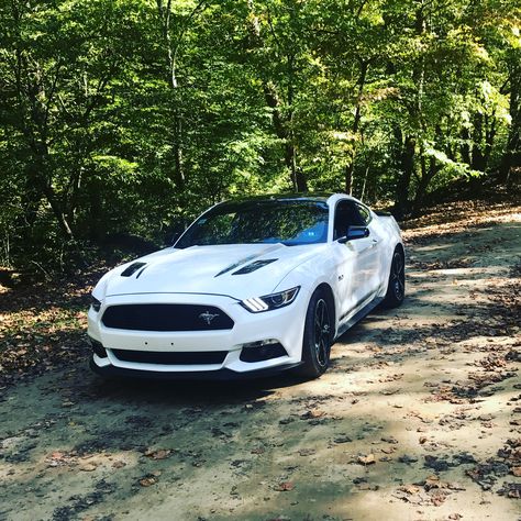 My 2017 Mustang GT California Special Mustang California Special, 2017 Mustang, Ford Mustang Shelby, Mustang Shelby, Mustang Gt, Ford Mustang, Mustang, Bmw Car, Ford