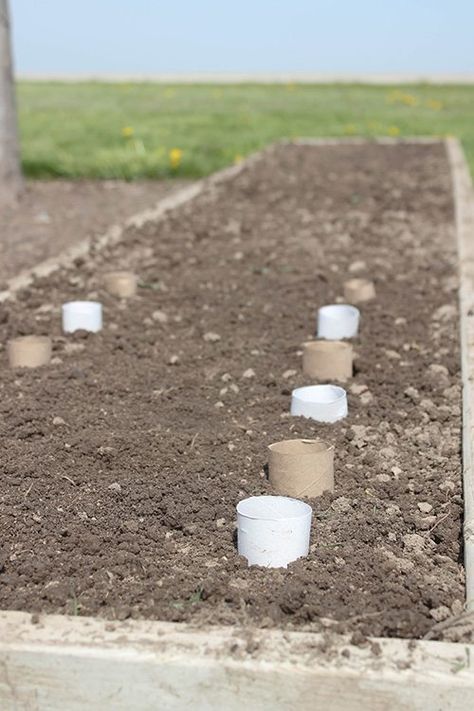 Planting Flowers From Seeds, Seed Planter, Seed Starters, Herbs Garden, Toilet Paper Rolls, Paper Rolls, Toilet Paper Roll, Toilet Roll, Garden Structures