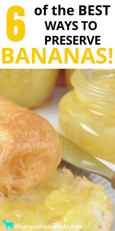 Preserve Bananas, Recipes With Bananas, Dehydrating Fruit, Homemade Banana Chips, Preserving Fruit, Dehydrating Food Storage, Banana Baby Food, Cooking Bananas, Canning Jam Recipes