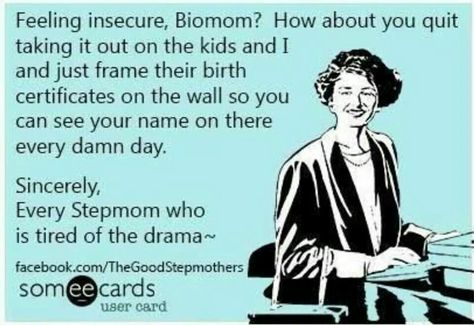 Yessssss Boss Day Memes, Baby Mama Drama Quotes, Baby Momma Drama, Bad Parenting Quotes, Baby Mama Drama, Step Mom Quotes, Bio Mom, Mommy Quotes, Parental Alienation