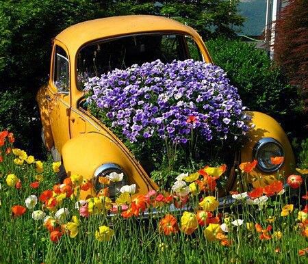 I wanted to do this with my first car, 1969 Datsun, 510.  People thought I was crazy.  Instead, I was ahead of the times. :-) Outdoor Designs, Easy Handmade, Vw Bugs, Ideas Handmade, Have Inspiration, Unique Gardens, Bed Ideas, Handmade Flower, Flower Bed