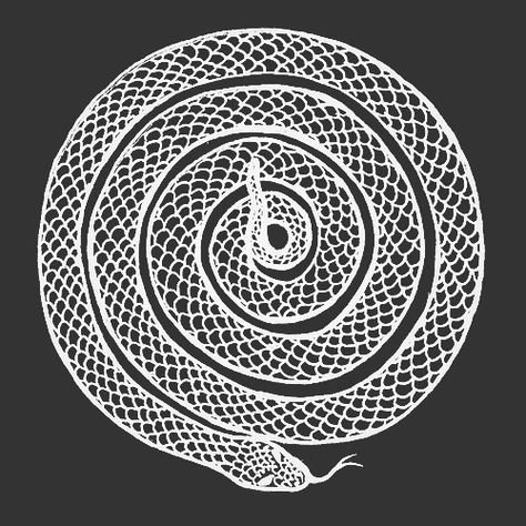 Snake Spiral Tattoo, Snake Hatching, Ouroboros Illustration, Serpent Scales, Braids Illustration, Spiral Snake, Snake Braid, Better Partner, Spiral Tattoos