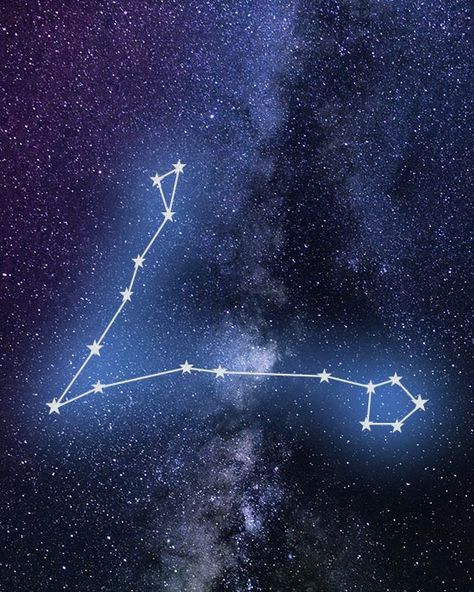 DA FISHEYS IN FLIPIN LATIN!!!!! Pisces Star Constellation, Pisces Constellation Art, Tattoo Zodiac, Pisces Constellation Tattoo, Zodiac Aesthetic, Aesthetic Stars, Pisces Constellation, Constellation Tattoo, Pisces Tattoos