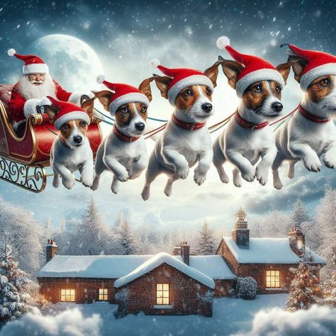 Christmas Dog Aesthetic, Boxer Beagle Mix, Chien Jack Russel, Jack Russell Terrier Puppies, Jack Russell Puppies, Merry Christmas Dog, Bee Pictures, Jack Russell Dogs, Happy Birthday Greetings Friends