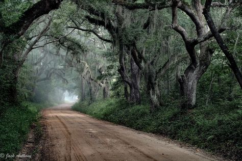 Steamboat Landing Rd., Edisto Island, SC Edisto Island South Carolina, Edisto Beach, Edisto Island, Botany Bay, Time And Tide, Carolina Beach, Spanish Moss, Dirt Road, Beautiful Landscapes