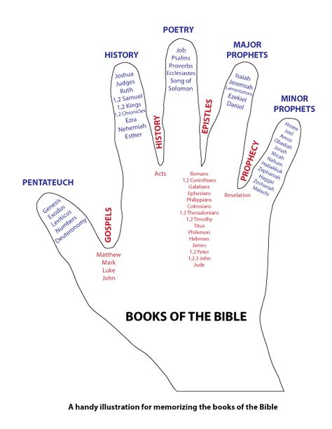 The Bible Hand...memorize the books of the Bible. Books Of The Bible Categories, Hand Guide, The Books Of The Bible, Woord Van God, Bible Books, Bible Teaching, Kids Bible, Bible Games, Bible Stuff