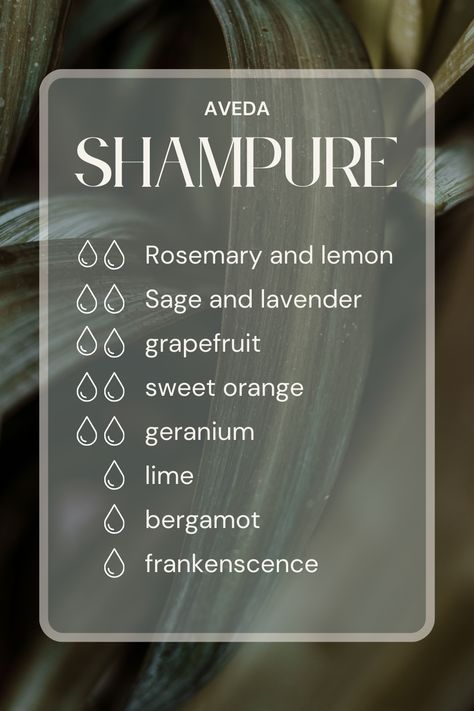 tried and true essential oil combination. Aveda Shampure Essential Oil Blend, Aveda Essential Oil Recipe, Spa Scents, Coriander Essential Oil, Perfume Diy, Spa Essential Oils, Scent Blends, Essential Oil Perfumes Recipes, Potpourri Recipes