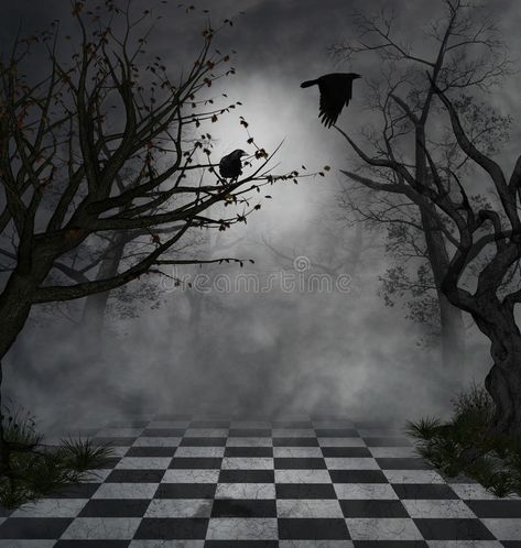 Dark scene. Fantastic and macabre scenary with two crows and mist , #spon, #Fantastic, #scene, #Dark, #macabre, #mist #ad Forest Entrance, Halloween Photography Backdrop, Creepy Forest, Crow Pictures, Black And White Floor, Tree Scene, Forest Backdrops, Halloween Photography, Halloween Backdrop