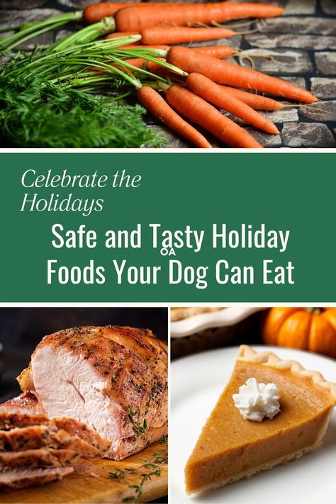 Food Dogs Can Eat, Holiday Dog Treats, Festive Meals, Human Food For Dogs, Foods Dogs Can Eat, Holiday Meal Planning, Dog Biscuit, Dog Biscuit Recipes, Animal Food