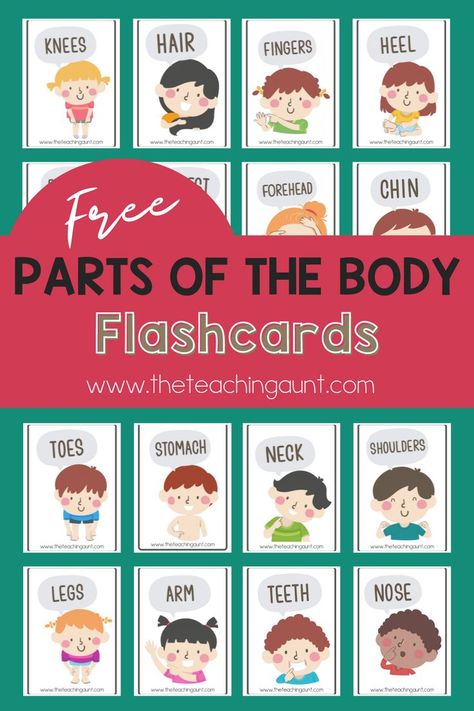 Teach your child the different parts of the body through these FREE PARTS OF THE BODY FLASHCARDS from The Teaching Aunt! #partsofthebody #bodypartsflashcards #theteachingaunt #preschoolflashcards #preschoolfreeprintable #partsofthebodypdf #bodypartsflashcardsforkids #faceflashcardpdf Body Parts Flashcards Free Printable, Body Parts Worksheet Kindergarten, Body Parts Crafts For Kids, My Body Parts, Body Parts Flashcards, French Body Parts, Body Parts Preschool Activities, Body Parts For Kids, Flashcards For Toddlers