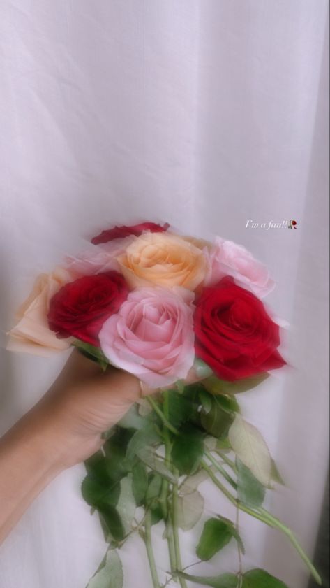 Fake Flowers Snap, Rose Bouquet Snap, Rose Snap Story, Flower Snaps Snapchat, Ahmedabad Snap, Rose Snap, Flower Bokeh, Flowers Snap, Diy Fairy Door