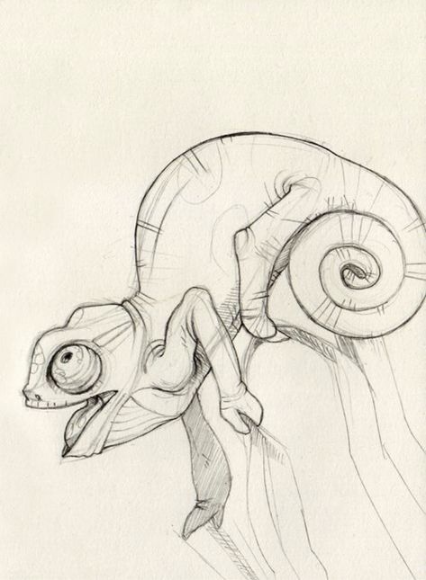 Cameleon Art, Chameleon Art, Desen Realist, Animal Drawings Sketches, Výtvarné Reference, Desen Anime, Pencil Art Drawings, Animal Sketches, Drawing Lessons