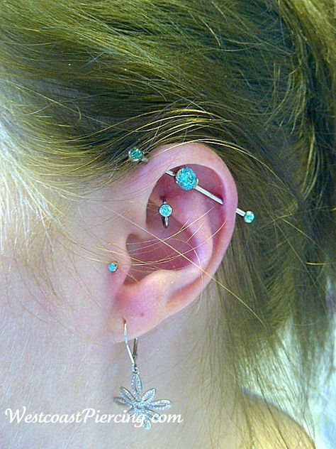 industrial + rook + tragus. what I'm planning to do. Double Tragus, Stretched Lobes, Industrial Piercing, Piercing Ideas, Ear Candy, Ear Piercing, Body Modifications, Body Mods, Tragus