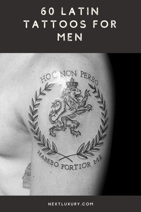 Latin tattoos are incredibly popular for their simplicity and the air of ancient mystery about them. Men seeking Latin tattoos can choose from nearly endless style, placement and size options.Many clients interested in Latin tattoos primarily want lettering to feature in their ink. #nextluxury #tattooideas #tattoodesigns Latin Word Tattoos, Latin Phrase Tattoos, Latin Symbols, Quotes Latin, Tattoo About Strength, Latin Quote Tattoos, Latin Tattoo, Language Design, Small Wave Tattoo