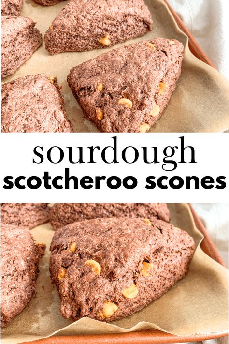 These sourdough scotcheroo scones pay homage to my Midwestern roots. Each bite is filled with chocolate, peanut butter, and butterscotch. I may be a Southerner now, but I'll always love a good scotcheroo. It's a heavenly trio that'll always have a special place in my heart! Scones Chocolate, Sourdough Desserts, Sourdough Scones, Supper Sides, Sourdough Baking, Butterscotch Chips, Special Place In My Heart, Recipe From Scratch, Sourdough Recipes