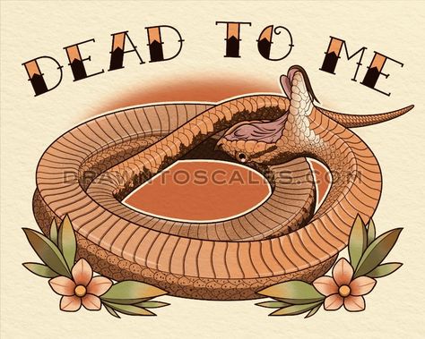 Hognose Snake Drawing, Western Hognose, Hognose Snake, Snake Drawing, Snake Wallpaper, Dead To Me, Tattoo Inspo, Paint Ideas, Snakes