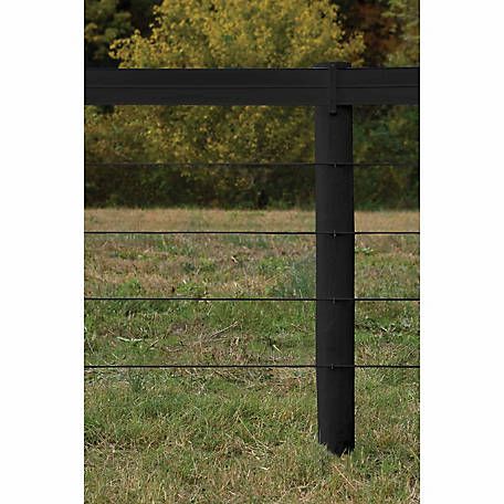 PolyPlus Coated Non-electric 12.5 Gauge Wire Fence 1,320 ft. Roll, Black at Tractor Supply Co. High Tensile Fence, Garden Fence Ideas, Split Rail Fence, Fence Stain, Black Fence, Horse Fencing, Types Of Fences, Fence Styles, Steel Fence