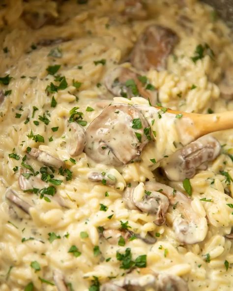 Orzo Mushroom, Orzo Recipes Side, Mushroom Orzo, One Pot Orzo, Orzo Pasta Recipes, Creamy Orzo, Creamy Garlic Mushrooms, Mushroom Risotto Recipes, Chicken Risotto