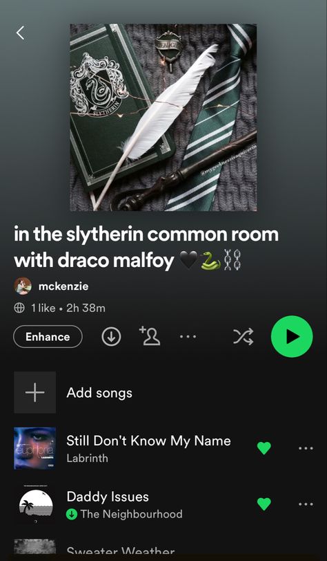 Hufflepuff Playlist, Book Playlists, Slytherin Draco, Ravenclaw Gryffindor, Hufflepuff Slytherin, Playlist Ideas, Harry Potter Ravenclaw, Harry Potter Decor, Spotify Playlists