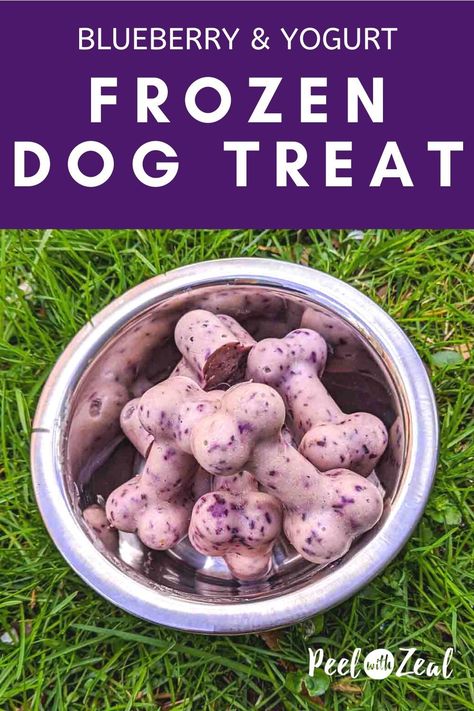 How To Make Doggy Popsicles, Frozen Yogurt For Dogs, Blueberry Treats For Dogs Recipe, Dog Cold Treats, Frozen Yogurt Dog Treats Homemade, Puppy Ice Cube Treats, Homemade Freezer Dog Treats, Freeze Dog Treats, Home Made Frozen Dog Treats