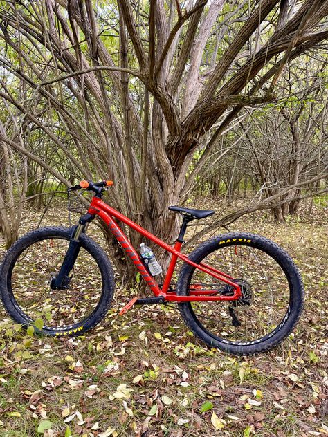 Orange 2022 Specialized Rockhopper Comp with 27.5 inch wheels wrapped in Maxxis Ardent DC EXO Tires. Has PNW Components Pedals and Grips! This picture was takem at Oakes Quarry Park in Fairborn, Ohio Check out some cool MTB videos on my YouTube! Mountain Biking Art, Specialized Rockhopper, Commuter Cycling, Hardtail Mountain Bike, Bike Aesthetic, Graffiti Wallpaper, Mtb Bicycle, Gear Head, Road Cycling